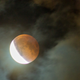 Illustration for article titled 34 Amazing Photos Of The Super Blood Moon